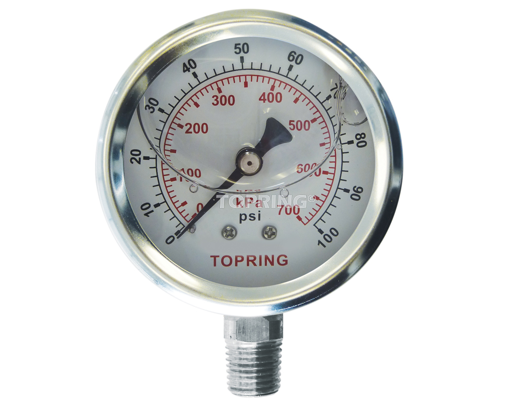 Liquid Gauge 2-1/2" - 1/4NPT LM 0-100 SS